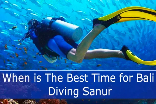 A skilled diver encircled by a shimmering school of silvery fish.